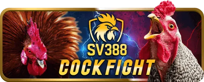 Chương trình VIP 799bet nổ hũ